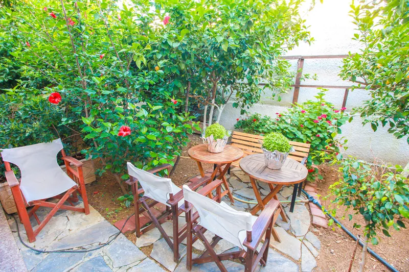 Table and chairs under the trees in the courtyard