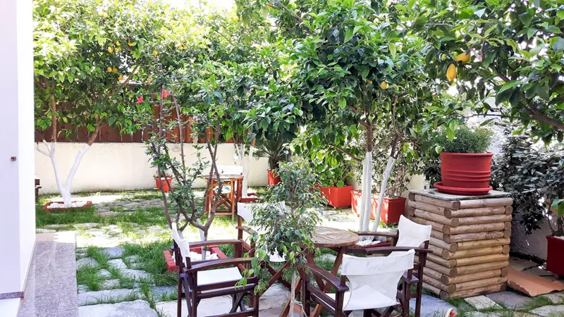 Alberi e vasi lungo il muro del giardino