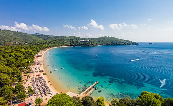 A sandy Skiathos beach seen from the pine slope above it